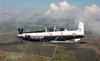 t_6
